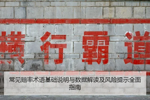 常见赔率术语基础说明与数据解读及风险提示全面指南