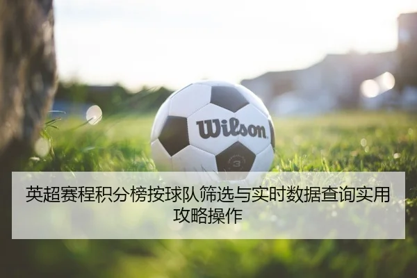英超赛程积分榜按球队筛选与实时数据查询实用攻略操作